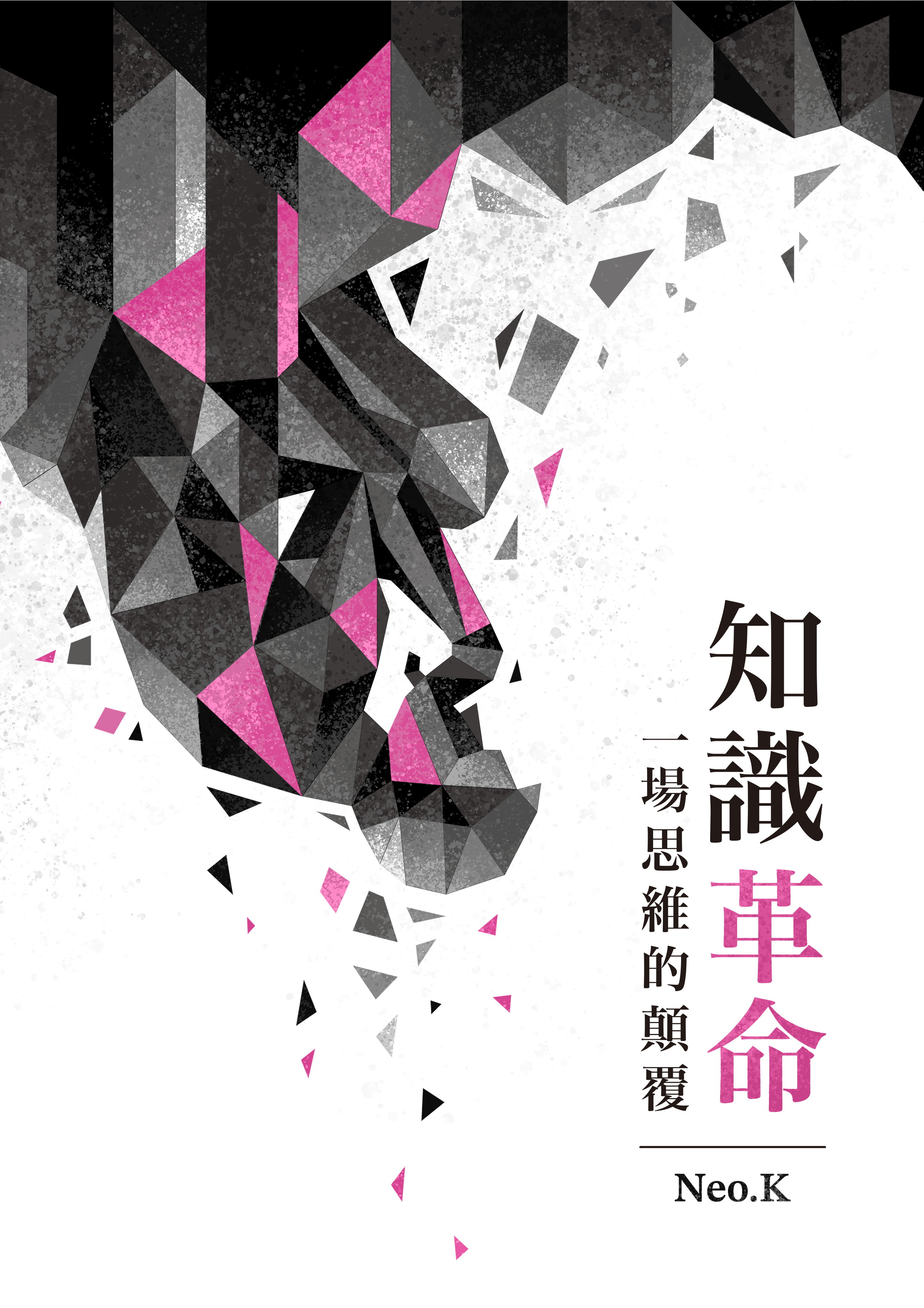 知識革命：一場思維的顛覆 - Neo.K 著作封面，展現跨學科創新思維